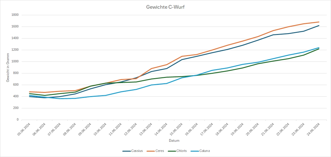 Foto%20Gewichtsentwicklung
