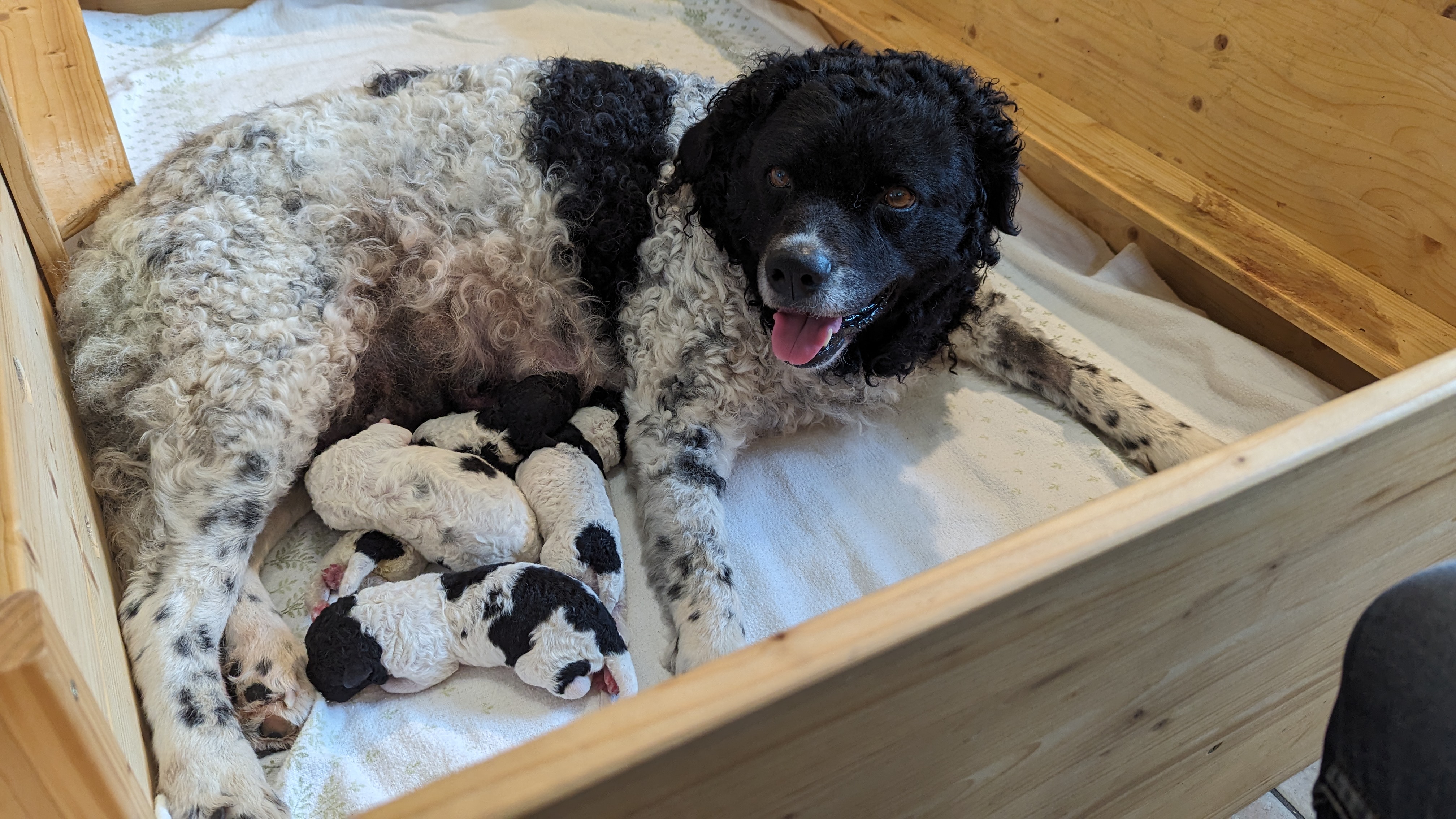 PXL 20240606 050403466