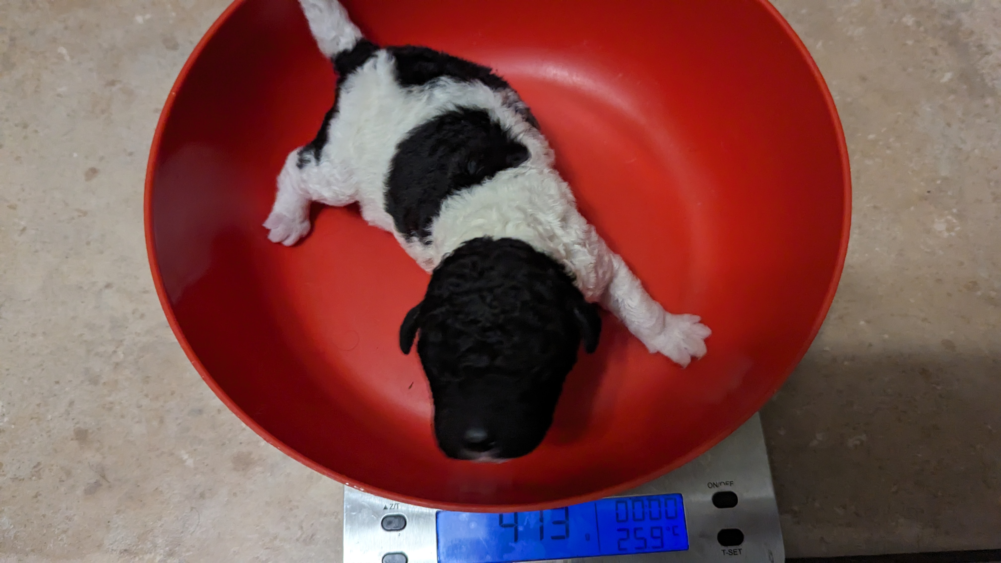 PXL 20240610 195409932