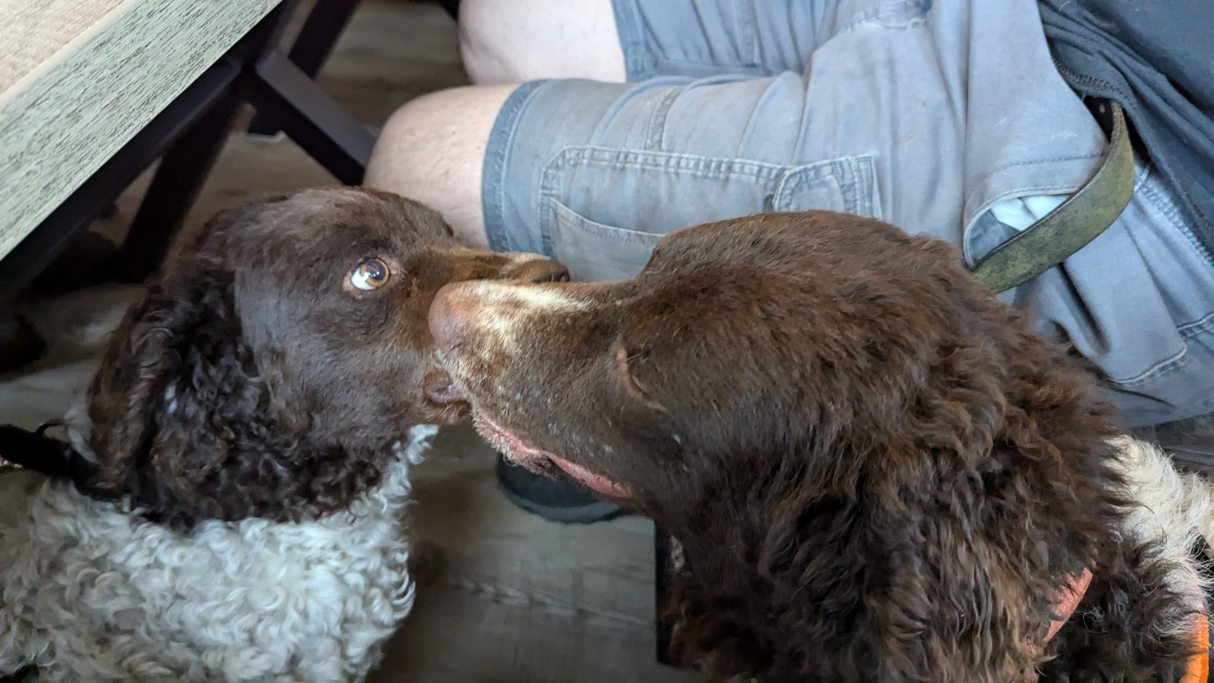 PXL 20240630 095233108