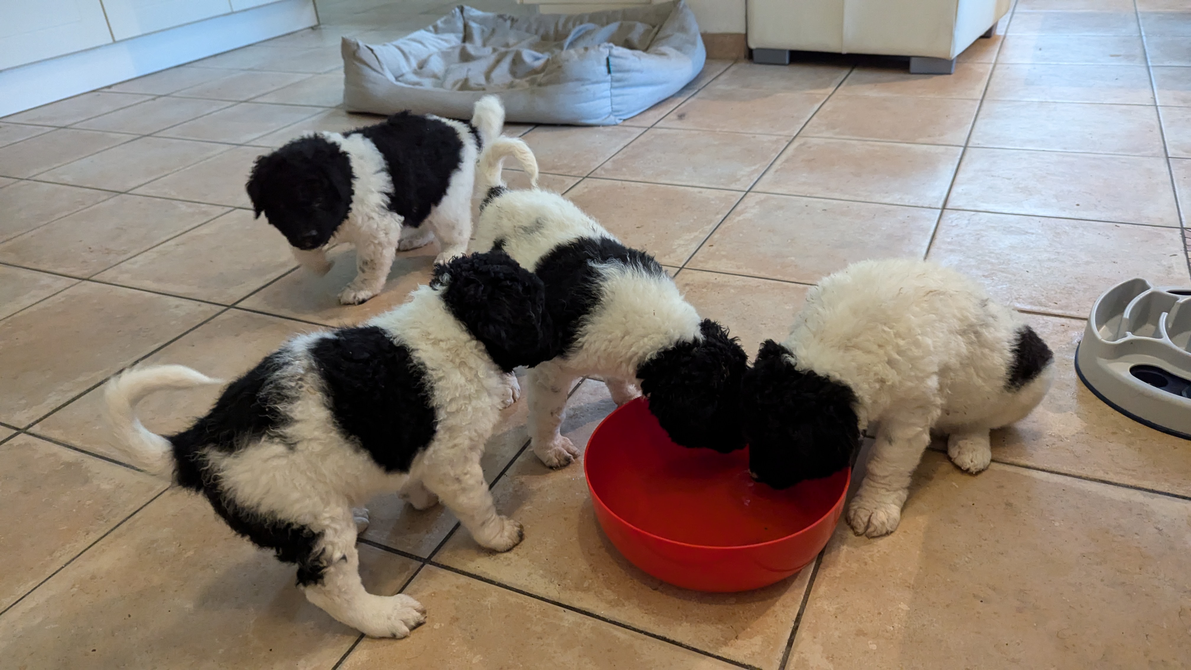 PXL 20240716 051439049